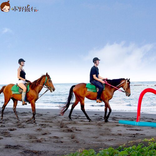 小野旅行-巴厘岛Saba黑沙滩骑马Bali horse riding稻田村庄海边 - 图2