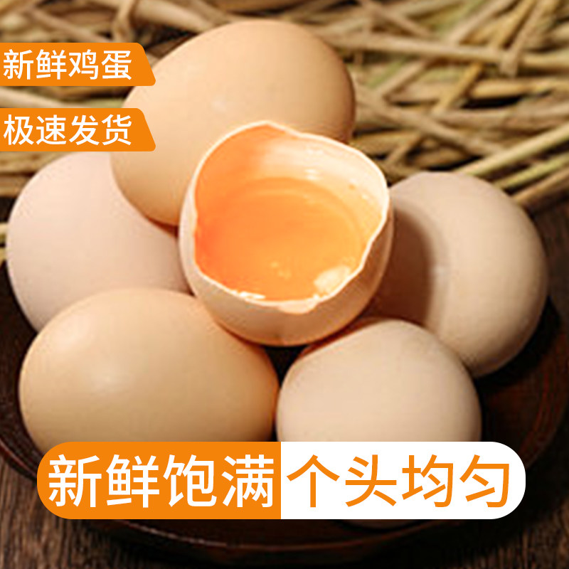 现捡农家散养土鸡蛋新鲜柴鸡蛋营养谷物鲜蛋草鸡蛋天然孕宝宝,淘宝优惠券,粉丝福利购,淘宝优惠卷