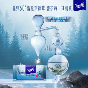 得宝卫生湿巾家用不含酒精加厚