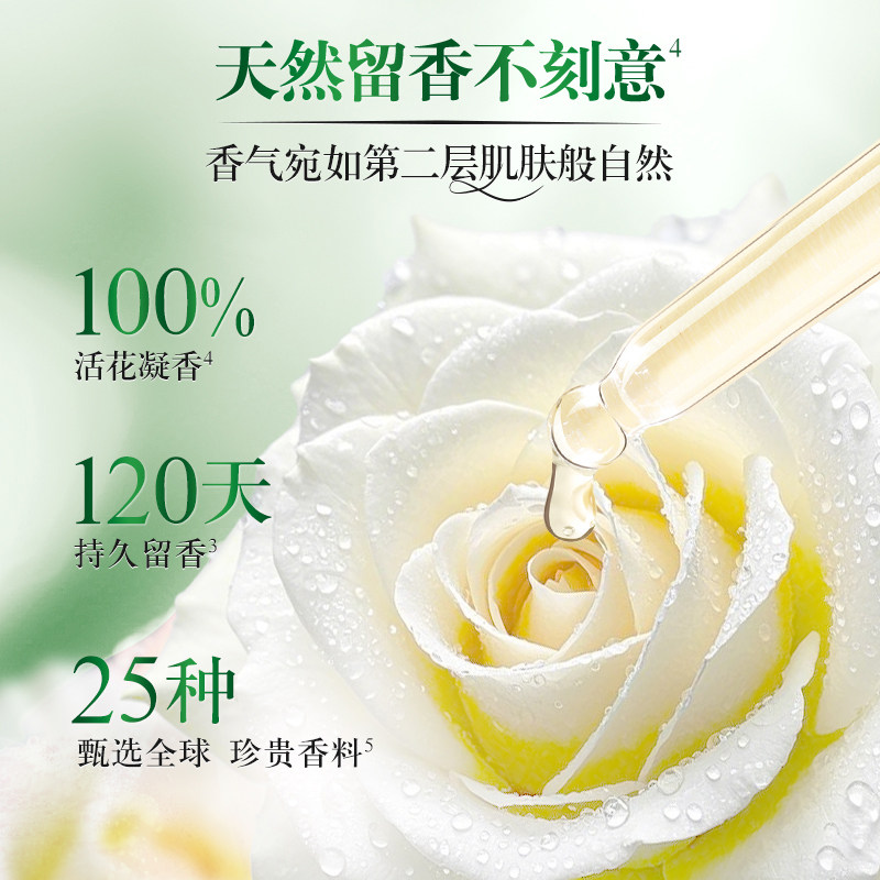 ?金纺香氛留香珠留香珠香草+雪松木450G?去汗味大容量柔顺护衣