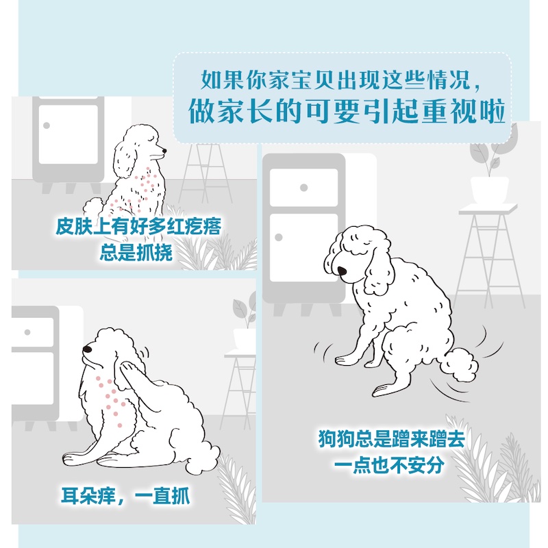 皇家小型犬成犬皮肤处方粮SKS25/2KG犬皮肤狗狗低敏瘙痒宠物粮 - 图1