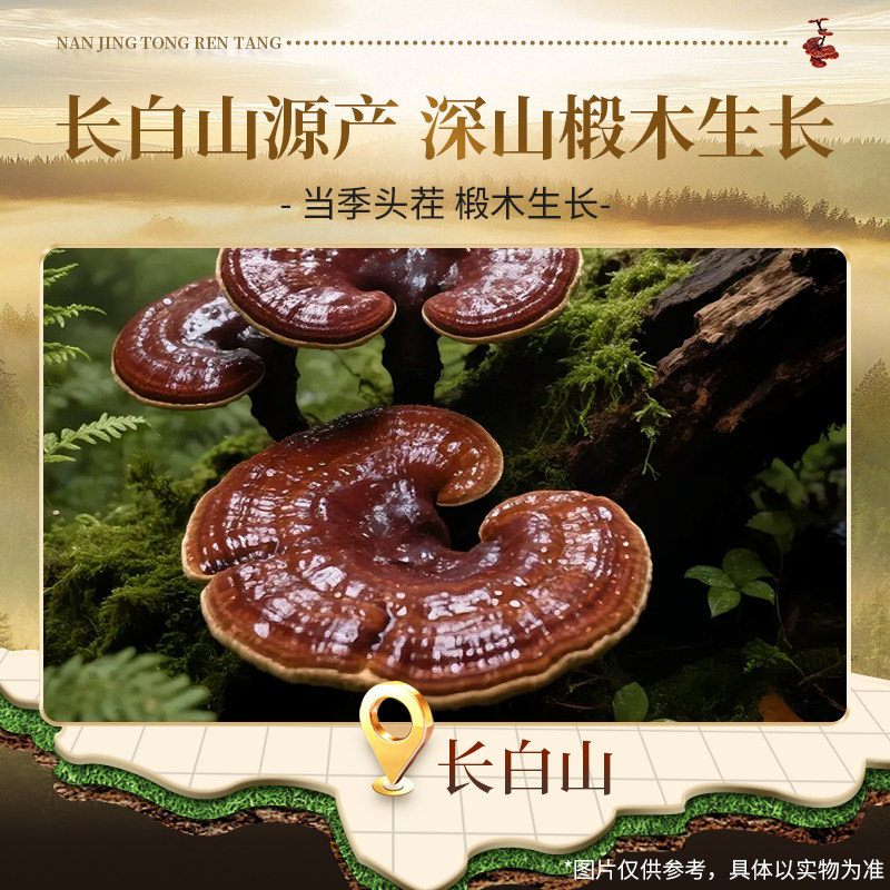 长白山灵芝片切片官方非野生中药材泡酒泡水喝正品片大均匀无硫熏,淘宝优惠券,粉丝福利购,淘宝优惠卷