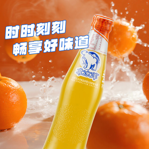 北冰洋精制桔汁汽水248mlx12玻璃瓶果汁汽水可乐碳酸饮料夏日饮品 - 图2