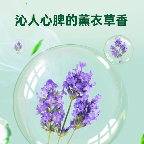Dettol/滴露经典衣物除菌液薰衣草1.5L/瓶 - 图2