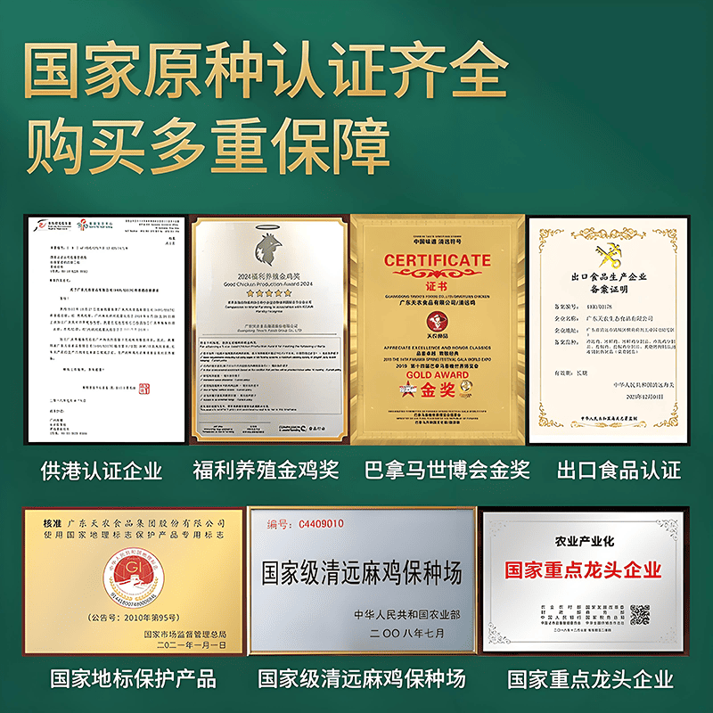 天农清远鸡童子鸡 整鸡生态散养100天小公鸡走地鸡液氮供港出厂,淘宝优惠券,粉丝福利购,淘宝优惠卷