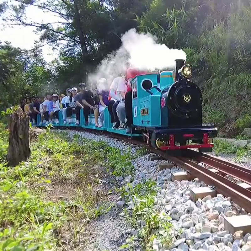 [天露山旅游度假区-大门票+环山小火车单程]广东云浮新兴天露山观光小火车票 - 图0