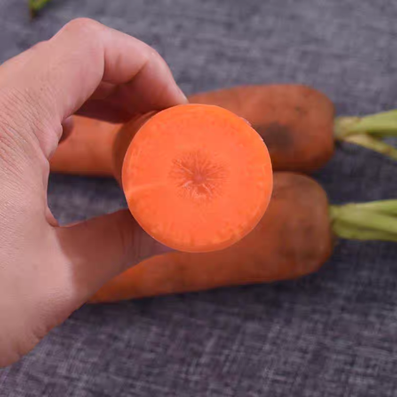 新鲜胡萝卜蔬菜农家自种现挖红皮萝卜红萝卜新鲜直供优质特产食材,淘宝优惠券,粉丝福利购,淘宝优惠卷