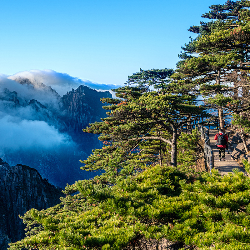 [黄山风景区-大门票（云谷索道方向）]黄山门票 - 图2