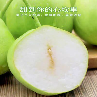 2025头茬早酥梨脆甜多汁薄皮梨子应季头茬大果冰糖雪梨酥脆化渣