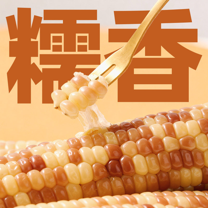 【臻选】喵满分爆卖云南普洱玉米花糯白糯新鲜现摘巴掌玉米