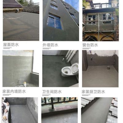 销深圳黑豹防水涂料屋顶外墙卫生间阳台水池防漏材料水泥基js聚厂