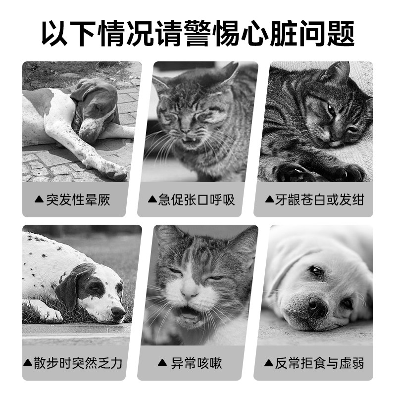 汉维宠仕艾可心宠物辅酶Q10狗狗猫咪心脏营养辅片助护心调理保健,淘宝优惠券,粉丝福利购,淘宝优惠卷