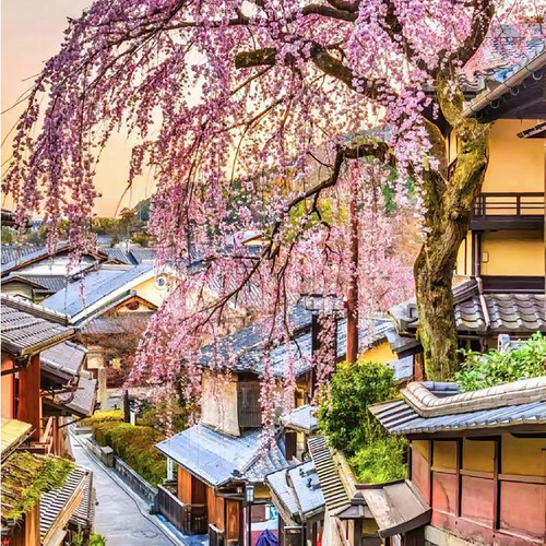 日本电话卡5G/4G手机流量上网卡3-30天10/15/30/20GB大流量sim卡 - 图2