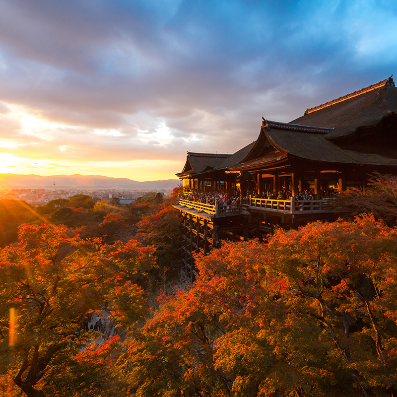 日本·三年多次旅游签证·广州送签·个人旅游3年多次签证高出签优质1V1专业服务可简化资料可加急可常规 - 图0