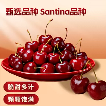 兴果里智利进口车厘子3j5斤[50元优惠券]-寻折猪