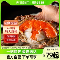 Zhoushan red paste choking crab whole only raw pickled crab shuttle crab Ningbo salty crab Crab Sauce Mother Crab crab Crab Ready-to-eat Seafood