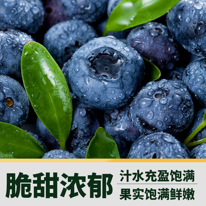 云南高原花香蓝莓新鲜水果当季整箱鲜果现摘