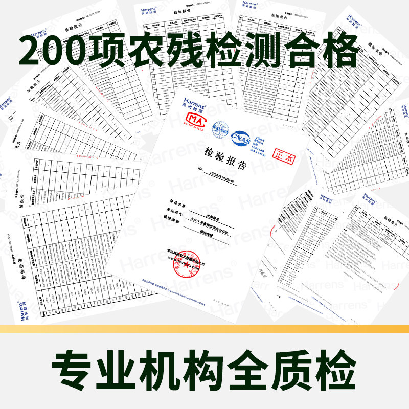 众利合山东水果黄瓜新鲜脆嫩爽口无刺开箱即食口口鲜香多种吃法
