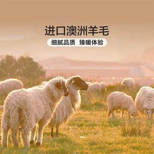 富安娜羊毛被澳洲进口四季被芯被褥学生宿舍棉被冬被加厚春秋被子