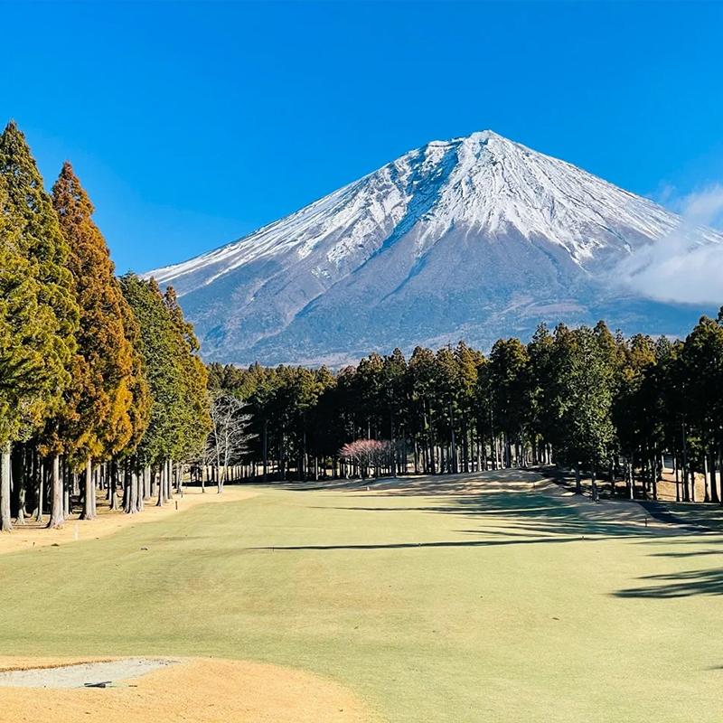 日本包车东京富士山箱根河口湖伊豆大阪京都奈良神户名古屋一日游-图1