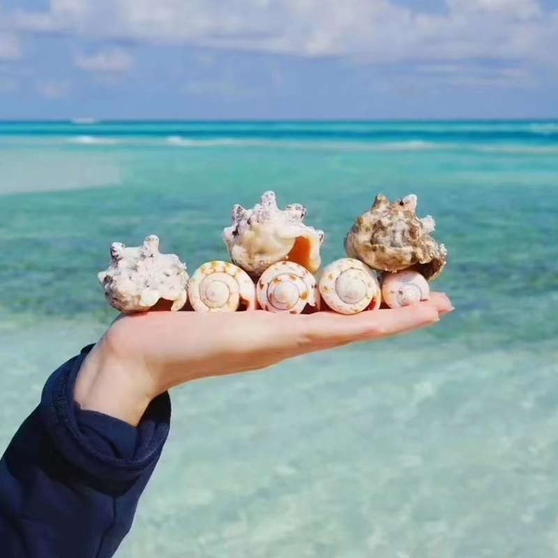 海南三亚西沙旅游西沙群岛豪华帆船包船/拼船5-6天海钓潜水旅游-图2