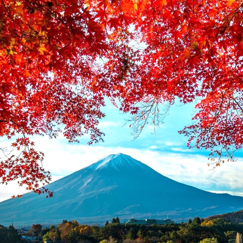 日本·五年多次旅游签证·上海送签·【拒签全退】新政无税单可简化加急个人旅游出签率高5年多次 - 图3