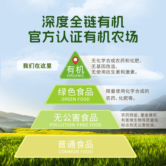 Korean imported Avini blueberry flavored organic rice cakes