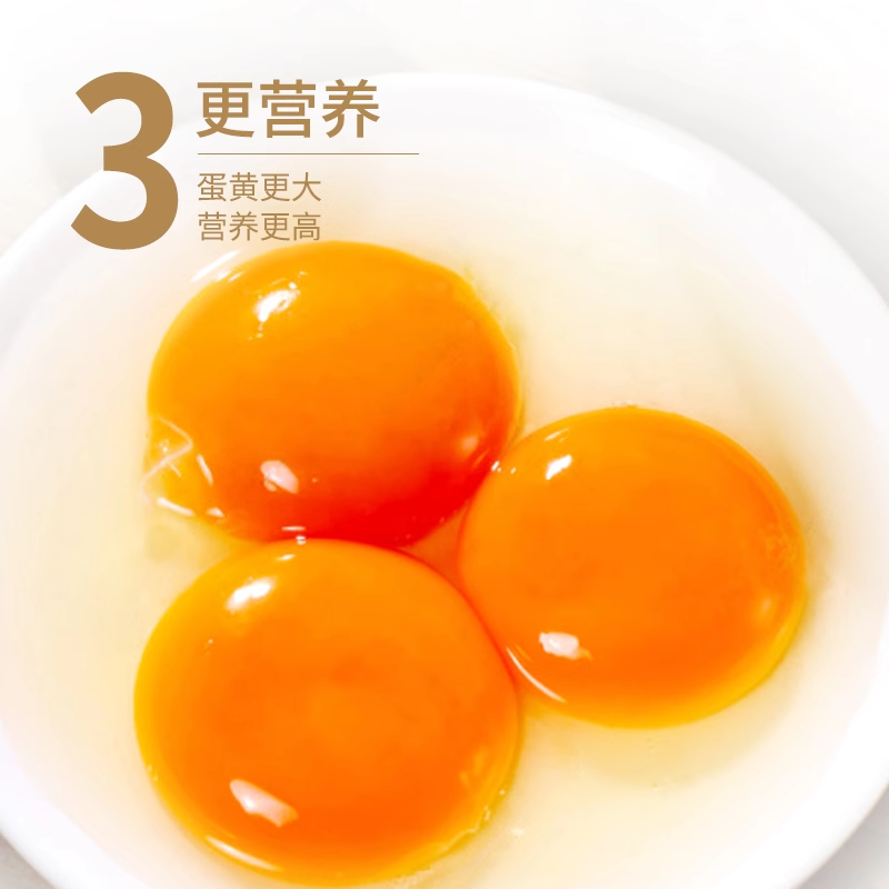 淘宝买菜 散养鸡蛋土鸡蛋笨鸡蛋柴鸡蛋新鲜蛋新鲜鸡蛋40g,淘宝优惠券,粉丝福利购,淘宝优惠卷