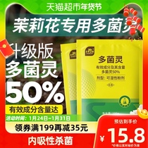 Stanley Polymycorrhizal Plant Bacteria Stand Clear Fungicide Floral Jasmine White Silk Disease Anthrax Leaf Spot Disease Coal Smoke