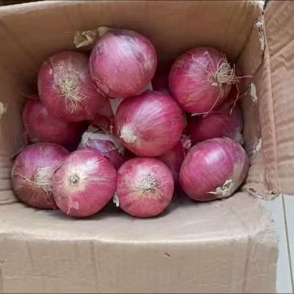 山东农家现挖水果紫洋葱甜味生吃紫皮圆葱头蔬菜新鲜整箱,淘宝优惠券,粉丝福利购,淘宝优惠卷