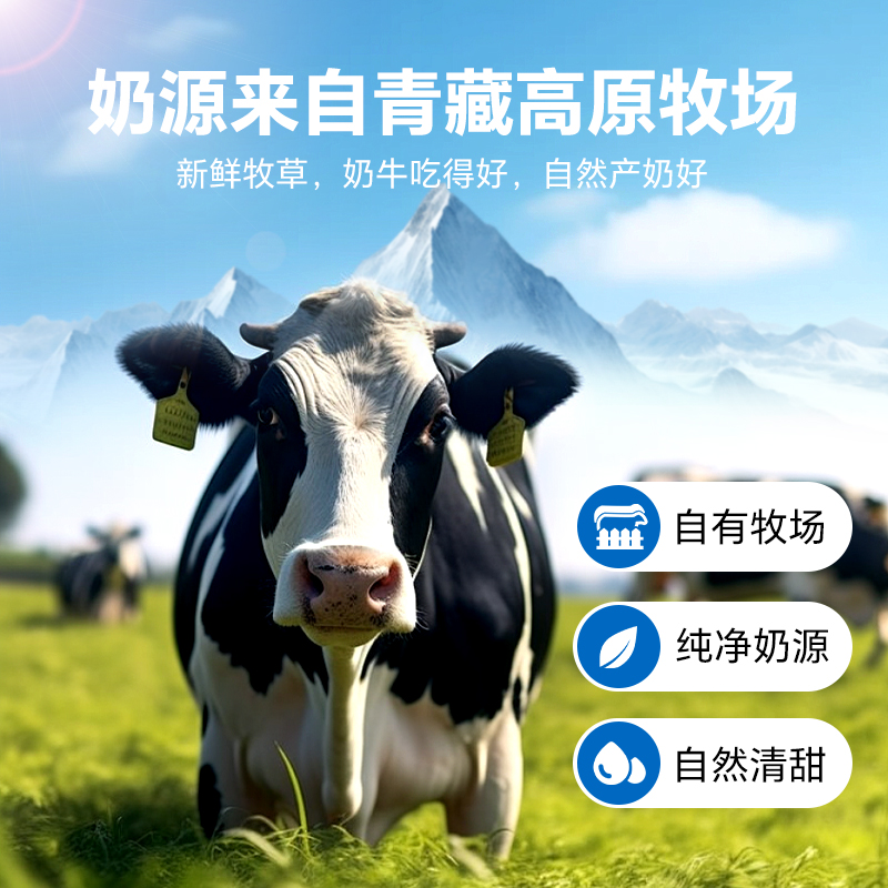 【青藏奶源】小西牛纯牛奶小方砖全脂早餐牛奶整箱