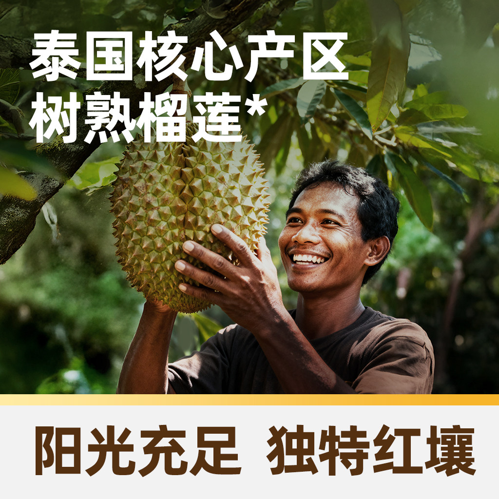 【臻选】榴芒一刻榴莲冰粽金枕榴莲肉粽甜粽水晶粽子端午节送礼品