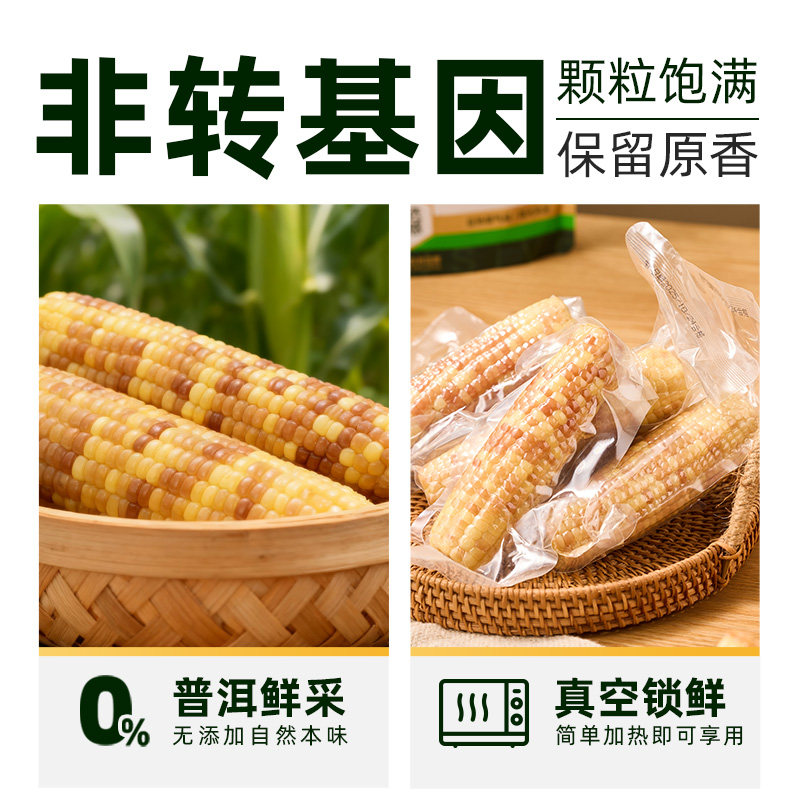 【臻选】喵满分爆卖云南普洱玉米花糯白糯新鲜现摘巴掌玉米