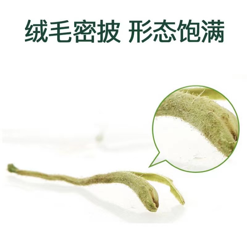 艺福堂茶叶精选金银花茶干花30g清润火气养生茶泡水喝搭菊花枸杞 - 图2