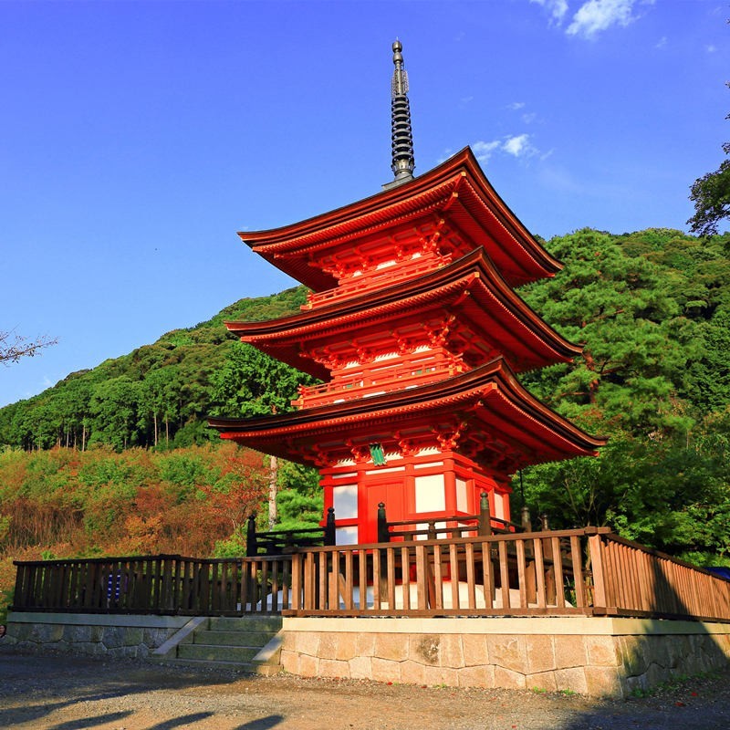 日本·单次旅游签证·广州送签·日本签证单次个人旅游签证可加急简化办理广州北京上海-图2