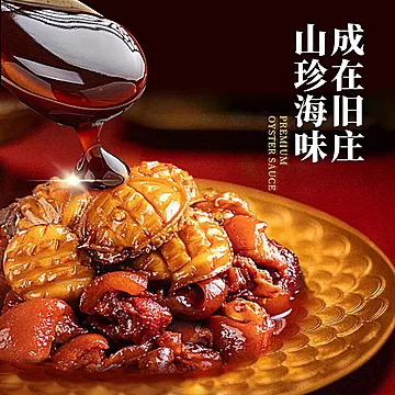 李锦记旧庄蚝油挤挤装500g[7元优惠券]-寻折猪