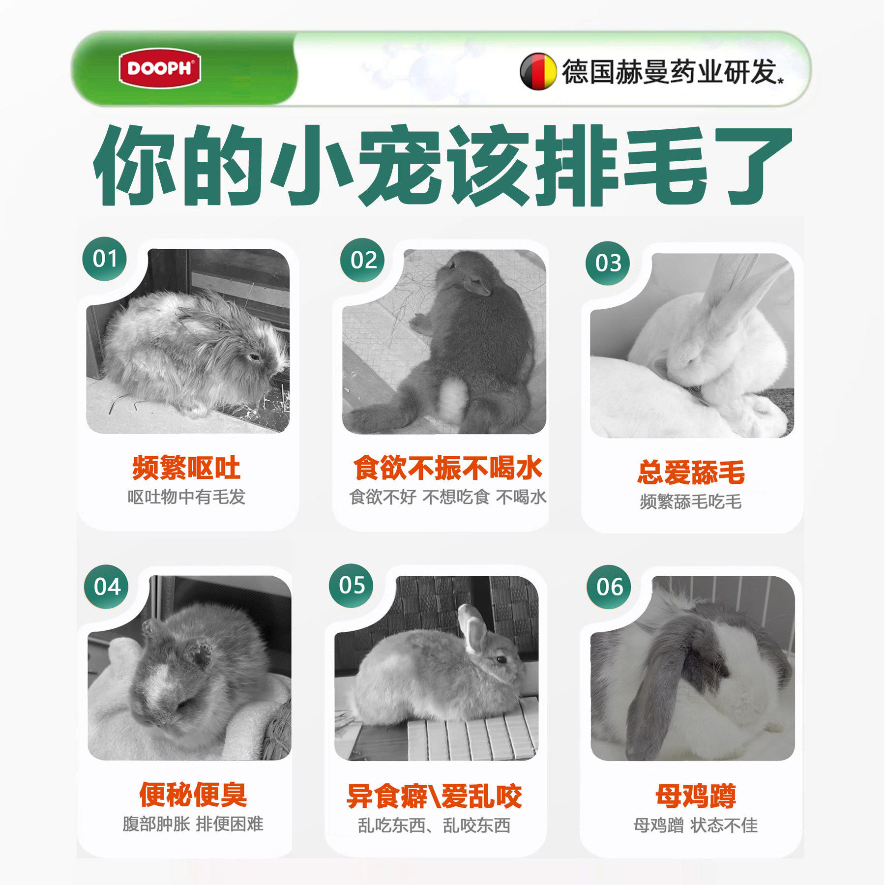 达普适猫咪益生菌狗狗专用调理肠胃宝呕吐拉稀软便秘小幼猫犬宠物