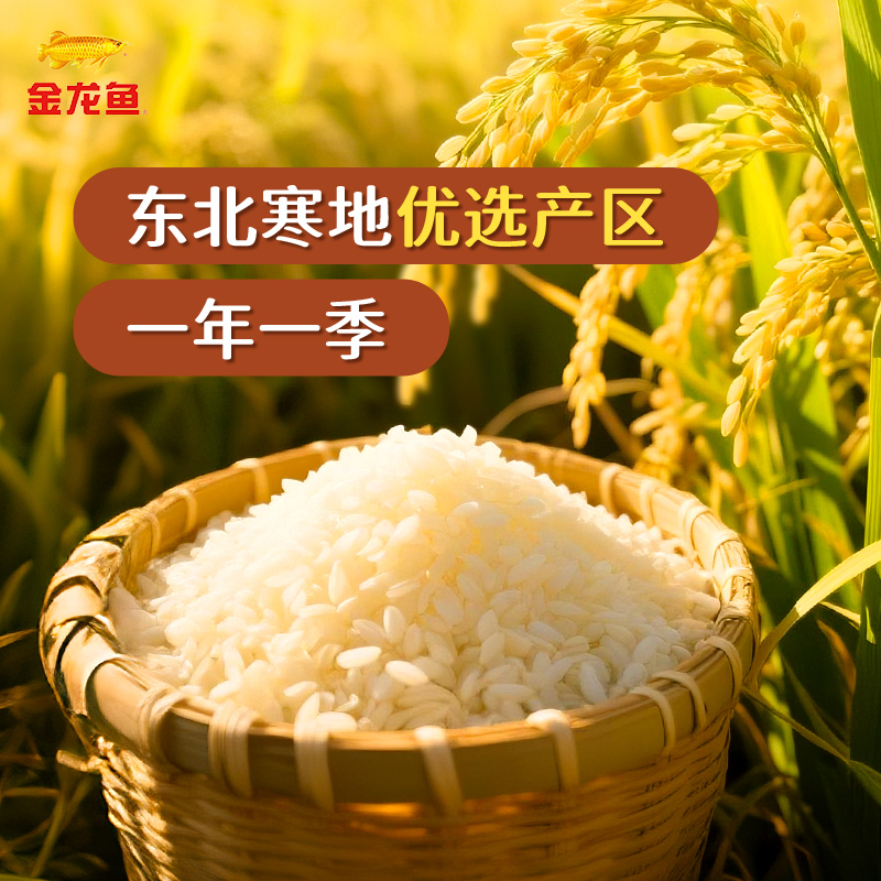 金龙鱼东北大米长粒香10kg*1袋清香型爽口 粳米