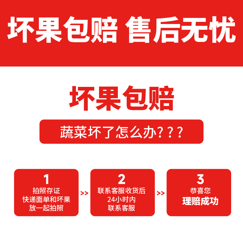 山东粉番茄生吃西红柿2.5kg自然成熟新鲜蔬菜现采现摘-图3