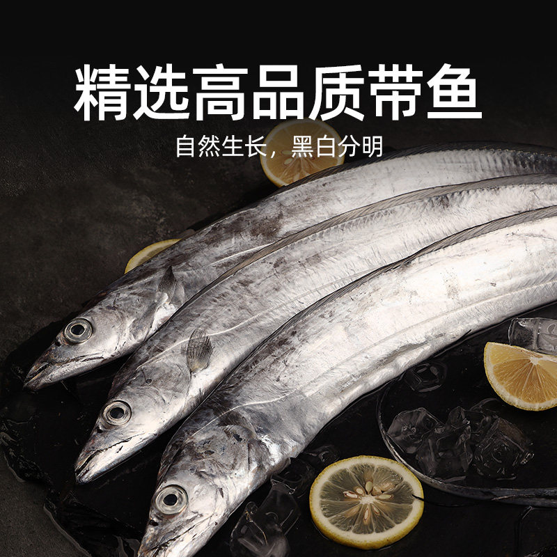 遇上鲜舟山海钓带鱼东海小眼睛刀鱼新鲜冷冻非雷达网带鱼段油带鱼,淘宝优惠券,粉丝福利购,淘宝优惠卷