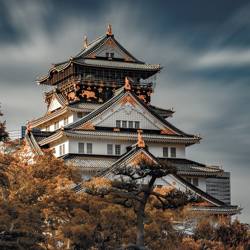 大阪包车日本大坂天桥立伊根一日游白滨神户奈良京都包车旅游定制 - 图3