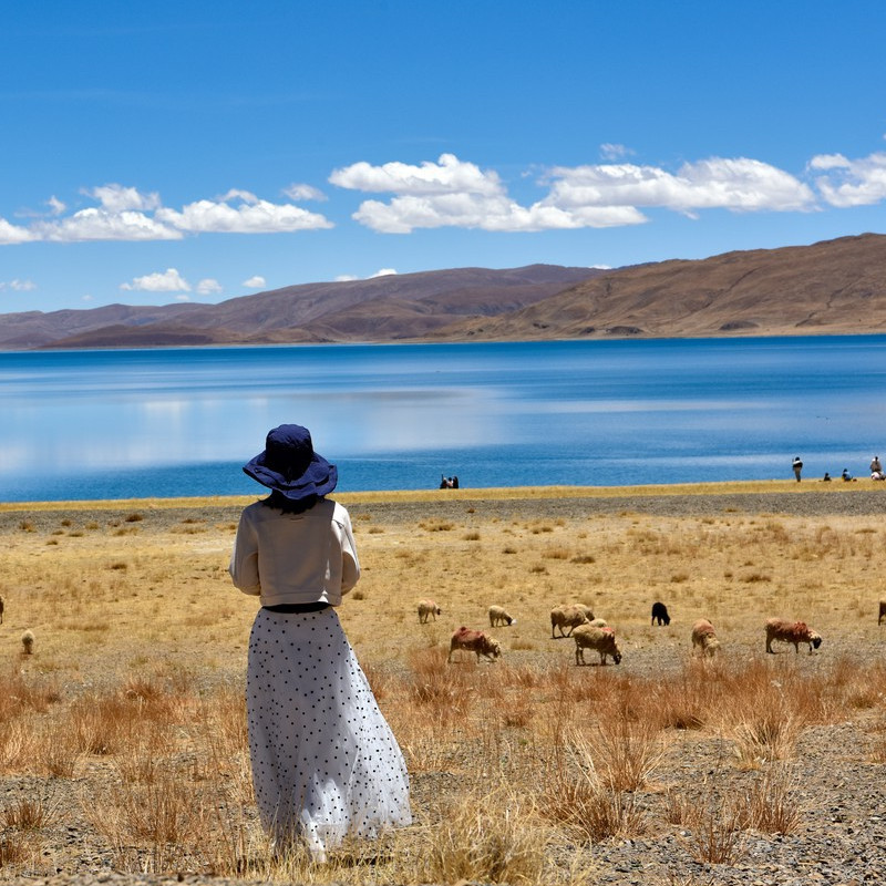 西藏旅行羊湖一日游拉萨旅游报团日托寺/卡若拉冰川跟团游纯玩团 - 图1