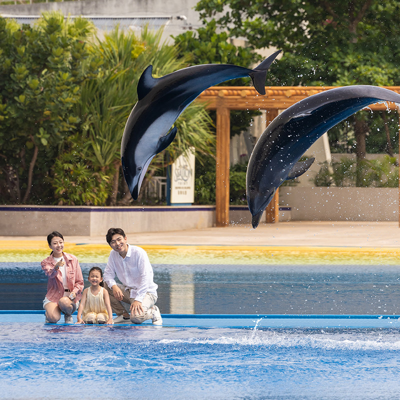 海豚亲密时光亲子套票（1大1小）+快照3张 - 图2