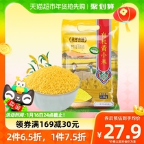Guaiah Farm Organic Yellow Millet 5 Jin Grain Cereals Northeast Coarse Grain Glutinous Rice Porridge Small Yellow Rice Rice Mate