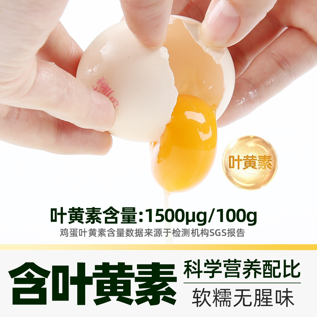 喵满分叶黄素可生食鸡蛋50g*30枚新鲜无抗生素