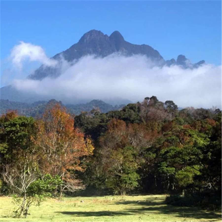 [五指山热带雨林风景区-门票+游览车]海南五指山热带雨林门票