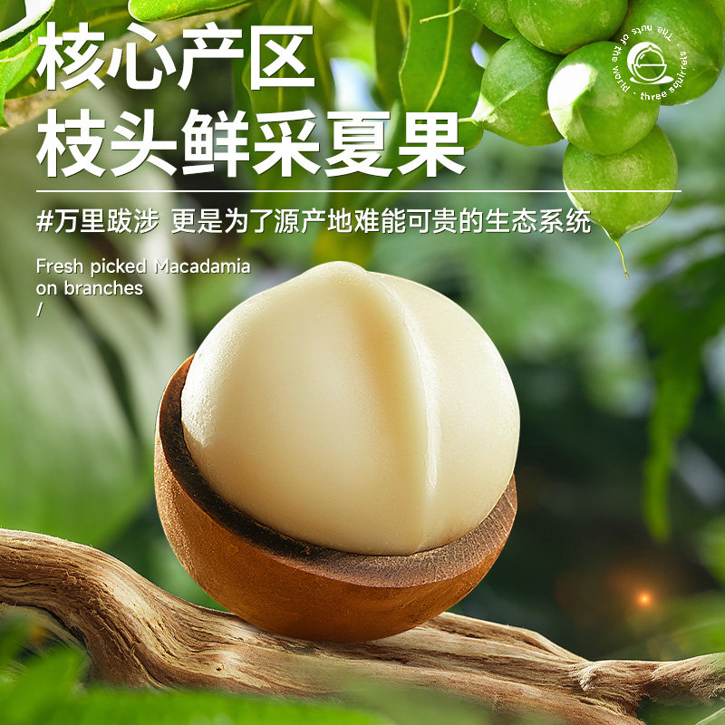 三只松鼠2025年新货夏威夷果160g*3袋奶油味坚果炒货零食每日坚果,淘宝优惠券,粉丝福利购,淘宝优惠卷