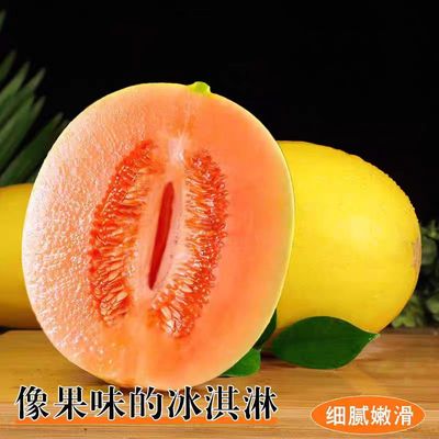 甘肃民勤蜜瓜黄河蜜瓜时令新鲜水果沙漠黄金蜜瓜香甜可口应季水果