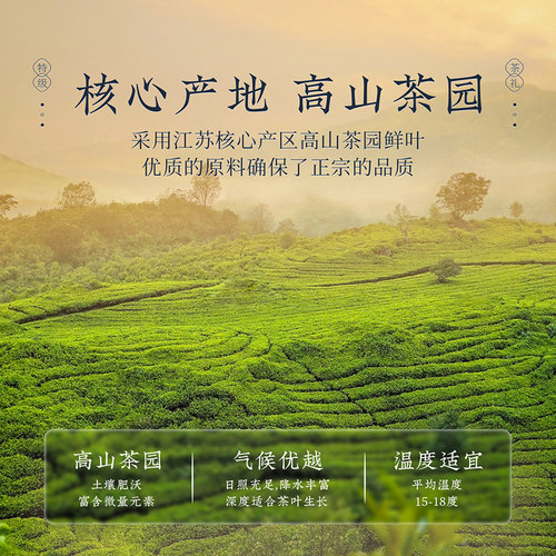 去寻碧螺春2026新茶小罐明前茶叶礼盒绿茶送礼长辈教师中秋节礼品 - 图1