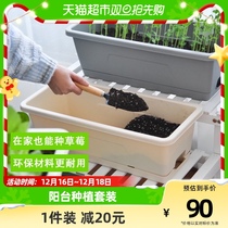 (one) Vegetable Basin Family Balcony Exclusive Vegetable Rectangular Flower Pot Strawberry Basin vegetable seedling basin